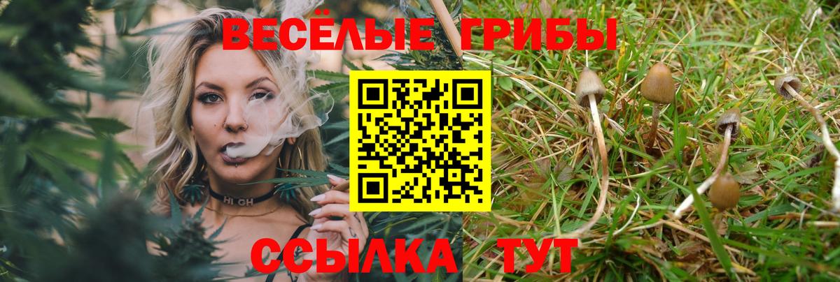 Галлюциногенные грибы мухоморы Сосновоборск