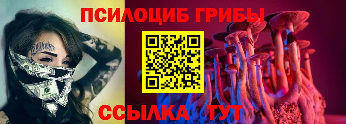 Сосновоборск  Галлюциногенные грибы Psilocybine cubensis  Вход с VPN 